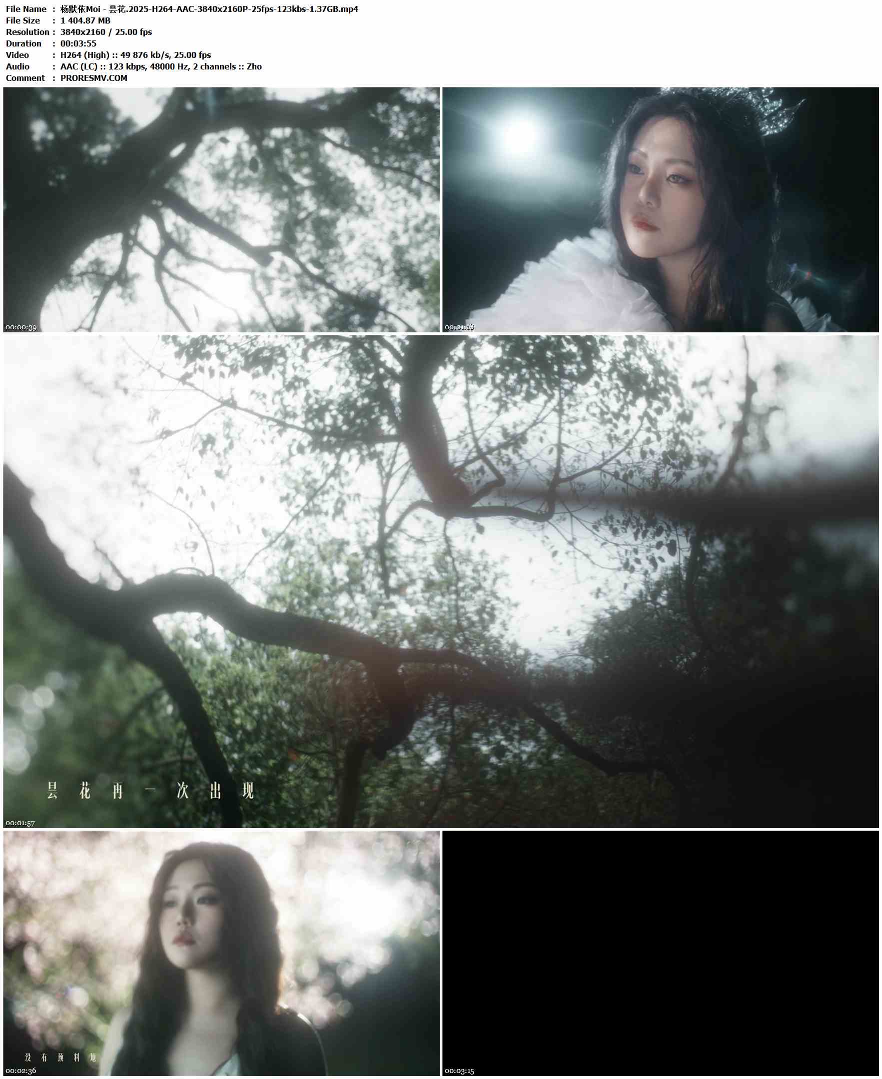 杨默依Moi - 昙花.2025-H264-AAC-3840x2160P-25fps-123kbs-1.37GB官方MV_高清MV
